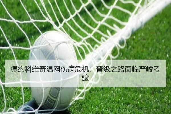 德约科维奇温网伤病危机：晋级之路面临严峻考验
