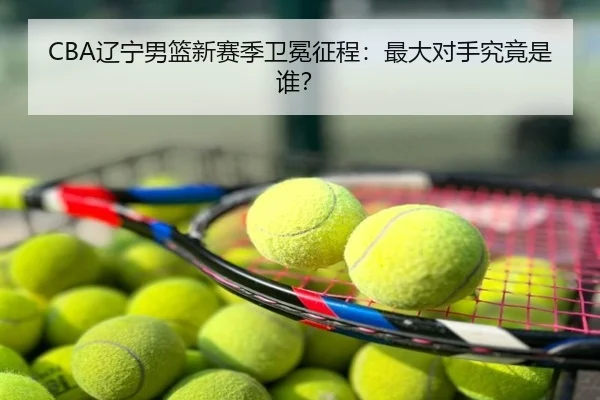 CBA辽宁男篮新赛季卫冕征程：最大对手究竟是谁？